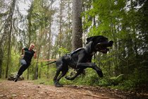 Canicross & Canitrail  width=