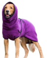 Dryup cape - billberry