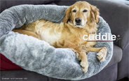 Cuddle up hondenmand