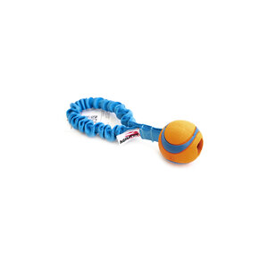 Agilitoy ChuckTug Classic - Short M