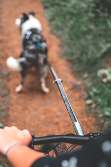 Non-Stop Bikejoring Antenne