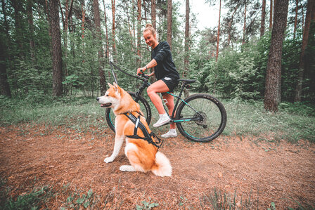 Non-Stop Bikejoring Antenne