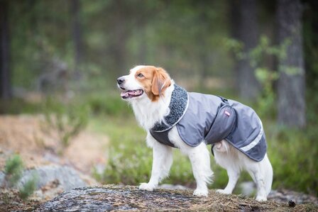 Westers Integreren kassa PerusPomppa Graphite (dik gevoerde, waterdichte hondenjas) - Drookit Dogs