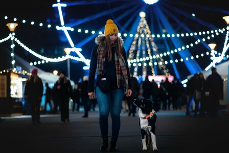 Non-Stop Safe Collar