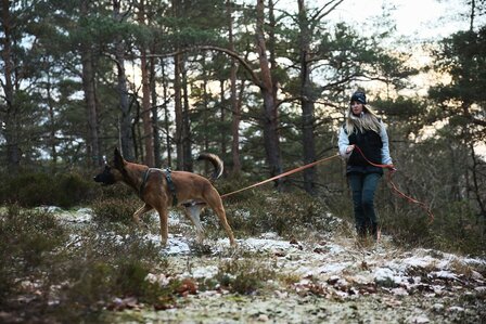 Non-stop Friction long line