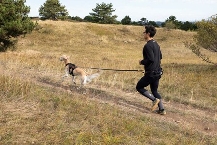 Trail Light belt (Non-stop)