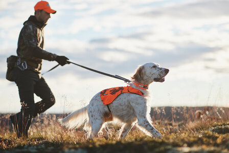 Touring Bungee Leash Adjustable