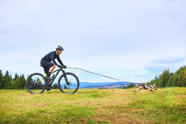 Bikejoring with the Non-Stop Bungee Touring Leash