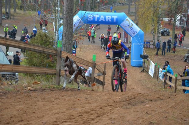 Non-Stop bikejoring antenne (afklikbare fietsantenne)