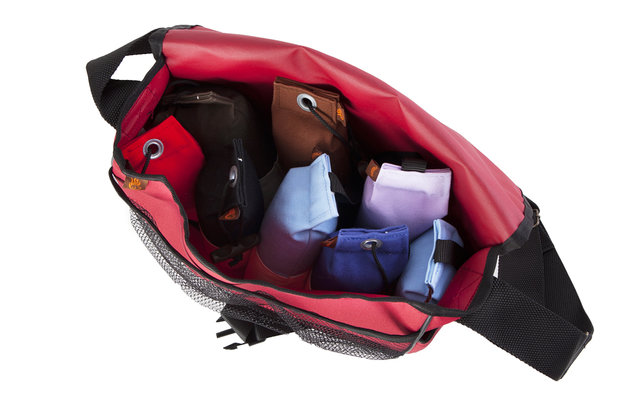 Firedog Dummy bag Profi