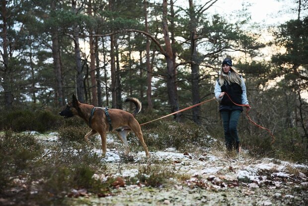 Non-stop Friction long line