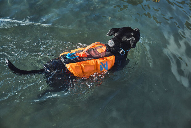 Protector life jacket (zwemvest)