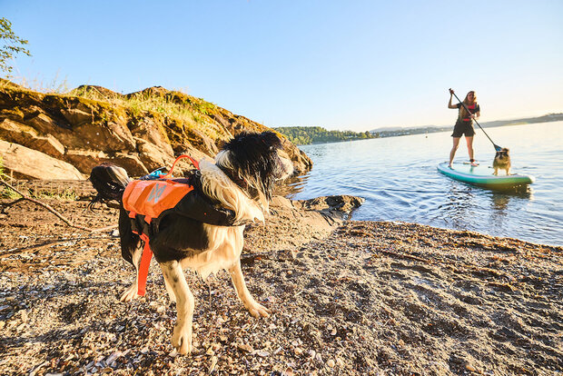 Protector life jacket (zwemvest)